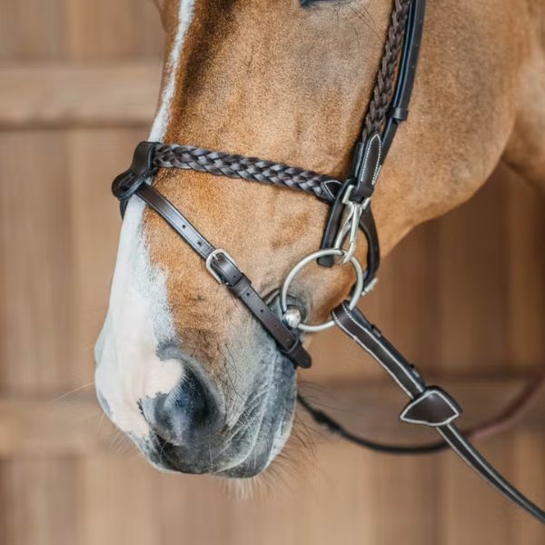 Dy'on Working Collection Plaited Training Bridle - Image 8