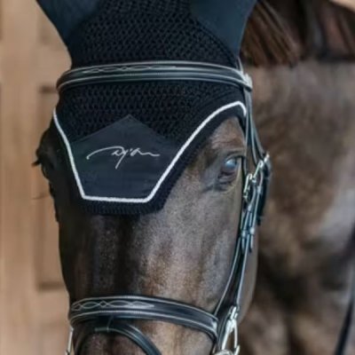 Dy'on Diamond Fly Veil