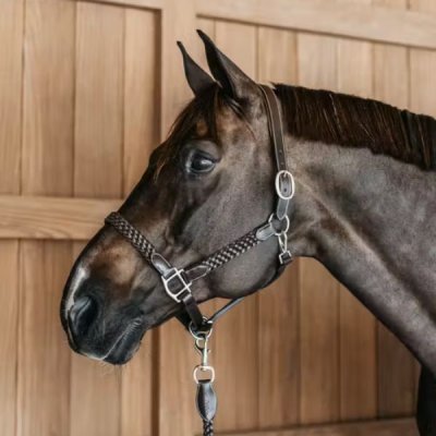 Dy'on Plaited Halter