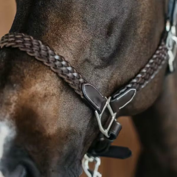 Dy'on Plaited Halter - Image 2