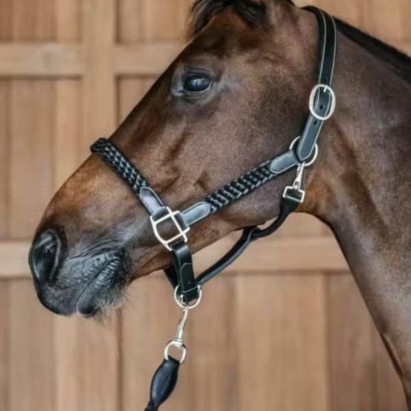 Dy'on Plaited Halter - Image 6