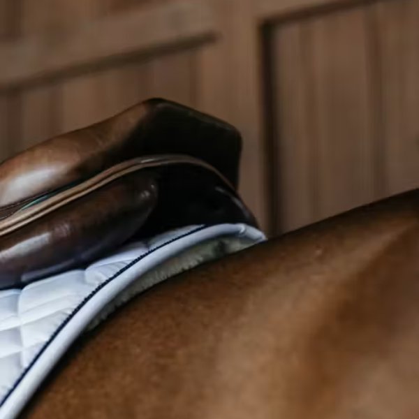 Dy'on Skin Friendly Saddle Pad Jumping - Image 2