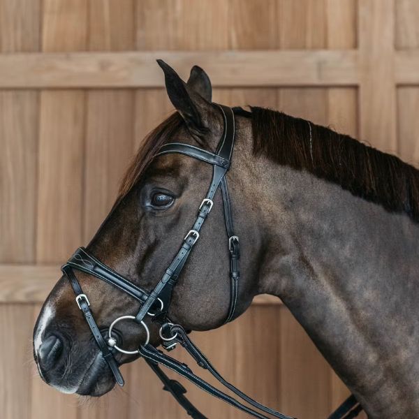 Dy'on Working Collection Working Motion Bridle - Image 2