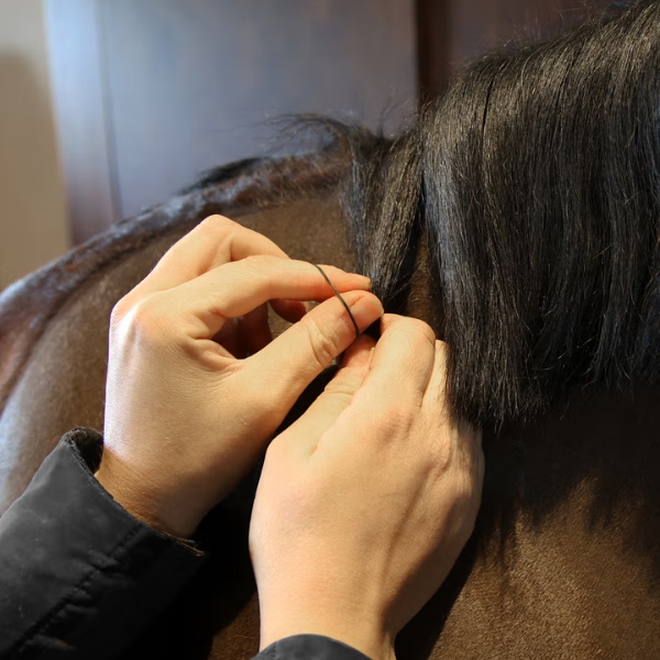 Grooming Deluxe Rubber Bands - Image 4