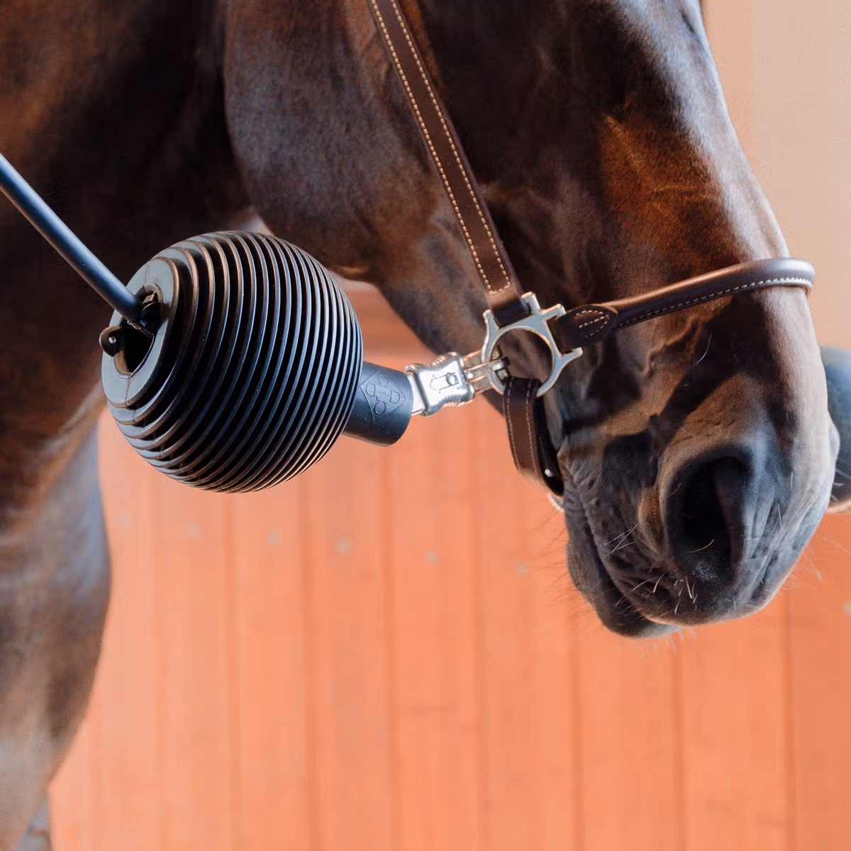 Kentucky Horsewear Lead & Wall Protection Rubber Ball Pro - Image 3