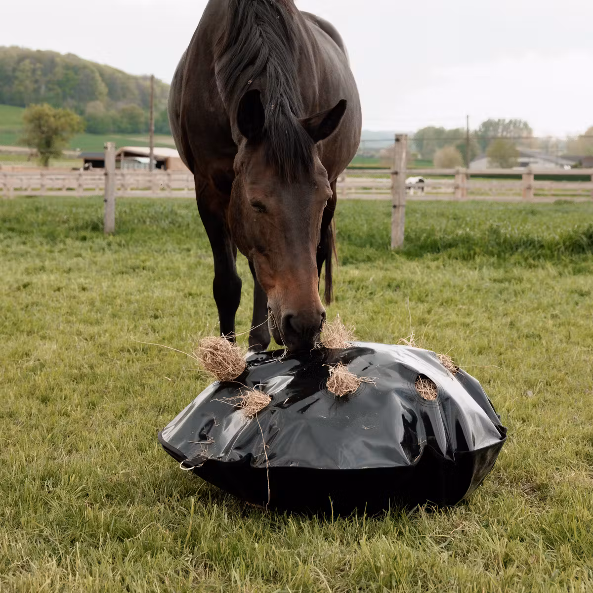 Grooming Deluxe Play & Haybag Slow Feeder Round - Image 2